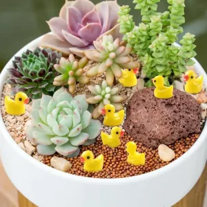 Imagen informativa: Mini patos de resina: Sensacionales para tus decoraciones | Tiendafiable
