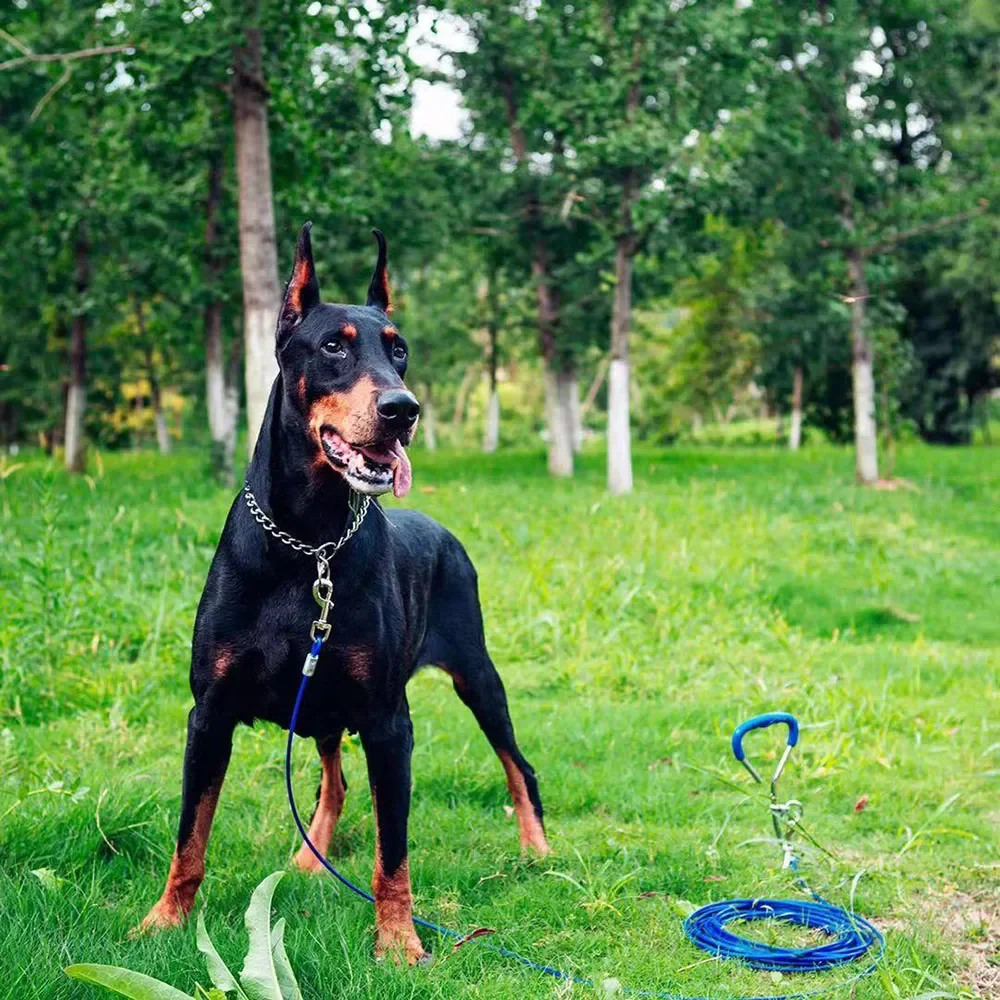 Eficaz Collar De Cadena De Mascota Duradero Para Mascotas